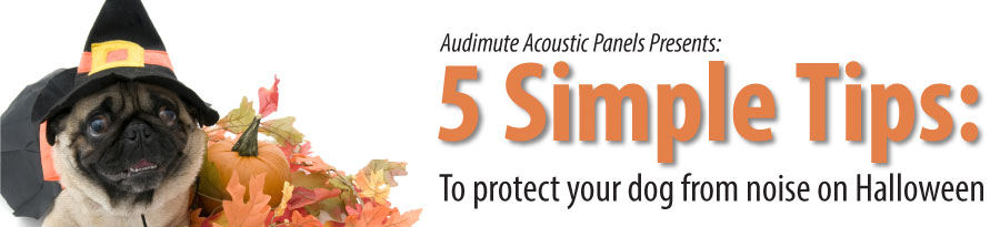 Dog Noise Blog Dog Noise Blog