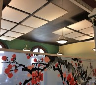 Acoustic Products for Ceilings