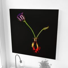 Custom Image Acoustic Panels