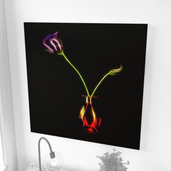 Custom Image Acoustic Panels