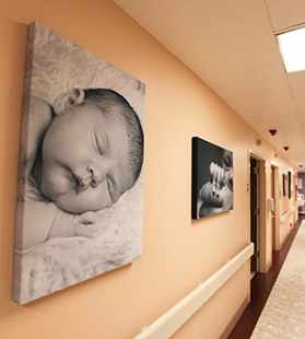 Acoustic Panels for Victoria Webb Photography