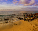 Tropical Landscapes Beach Footprints