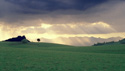 Serene Landscapes Field