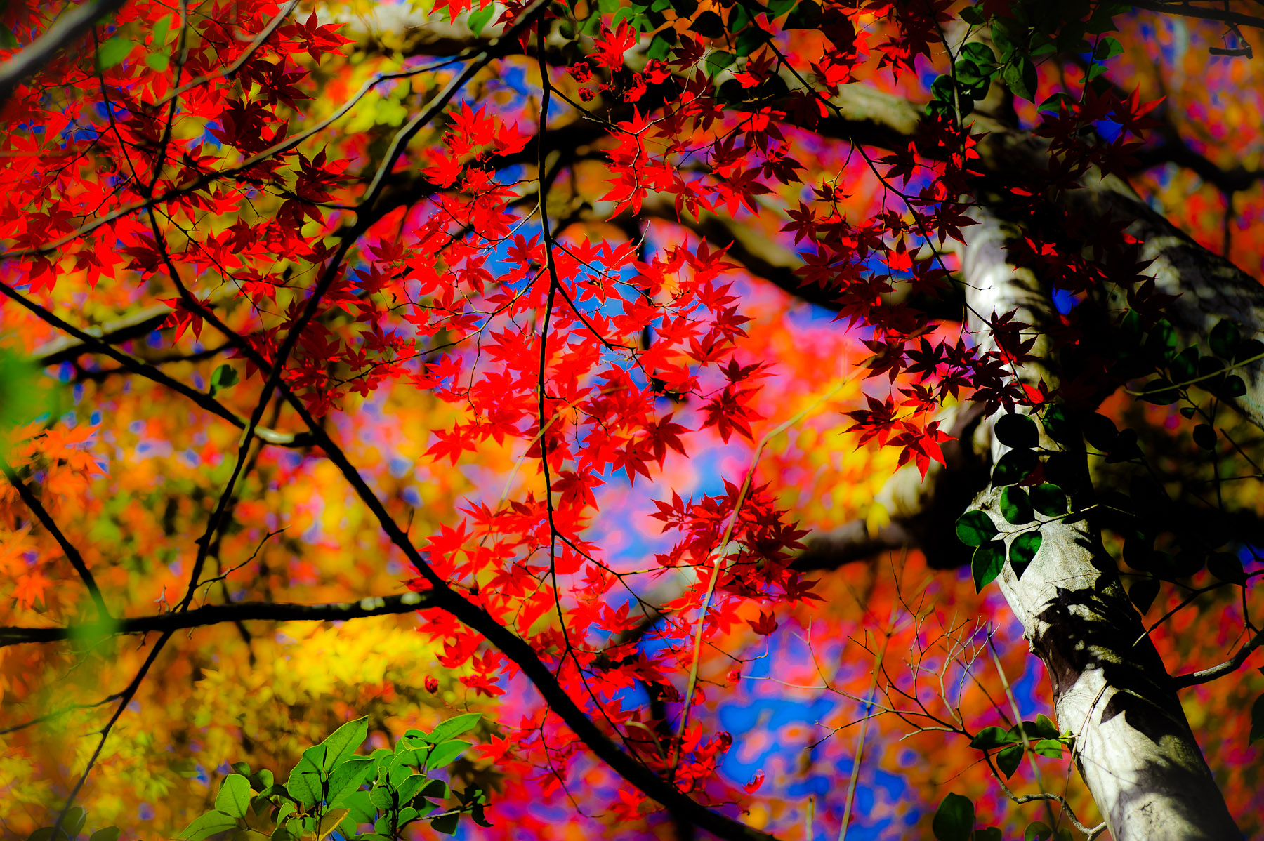 Acoustic fabrics Fall inspires