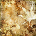 Floral Art Sepia Leaf