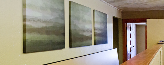 Split Image Panels Split Image Panels